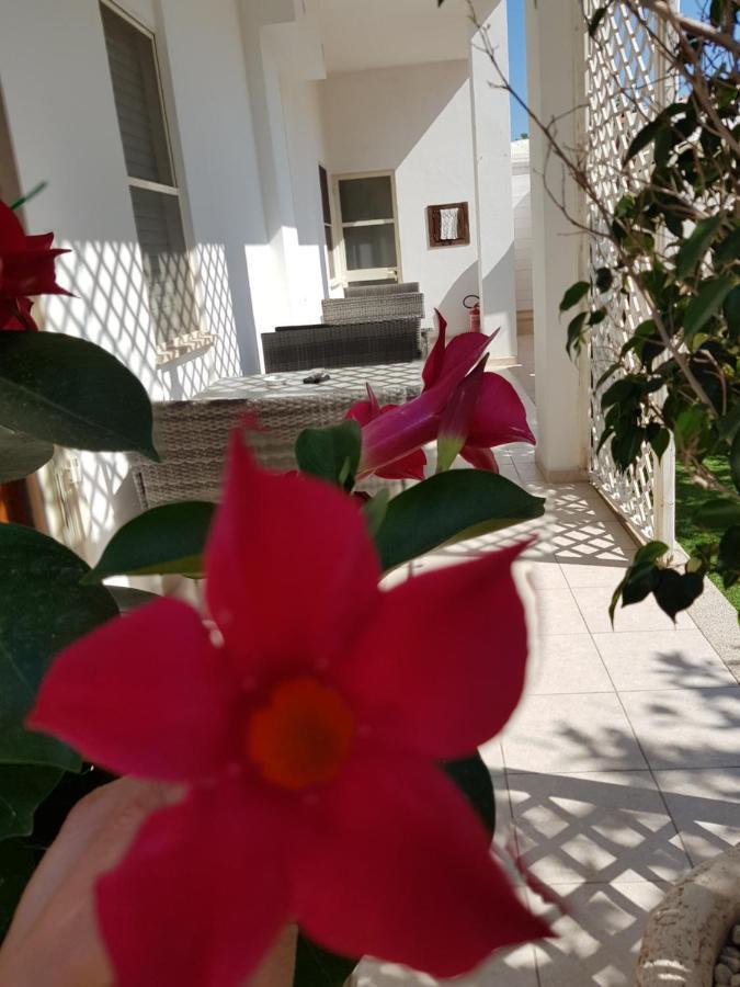 Zia Mia B&B Olbia Dış mekan fotoğraf