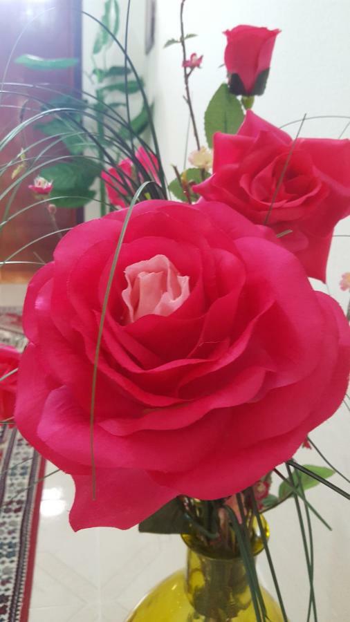 Zia Mia B&B Olbia Dış mekan fotoğraf