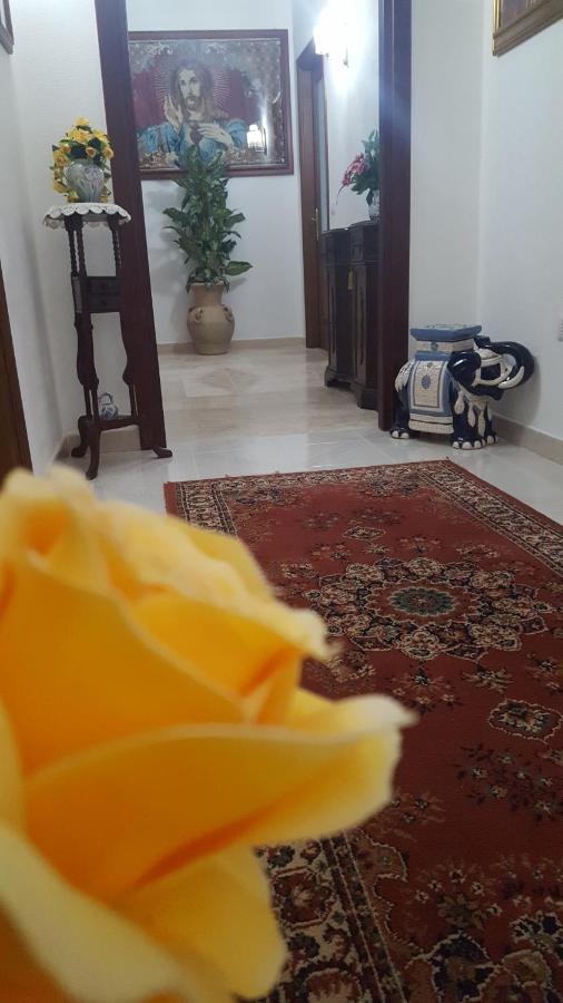 Zia Mia B&B Olbia Dış mekan fotoğraf
